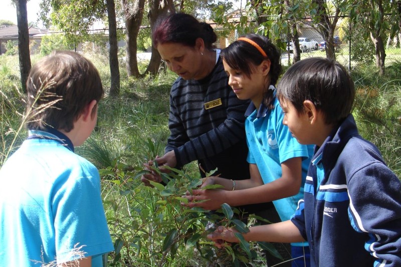 Teacher and students outdoors looking at a plant
