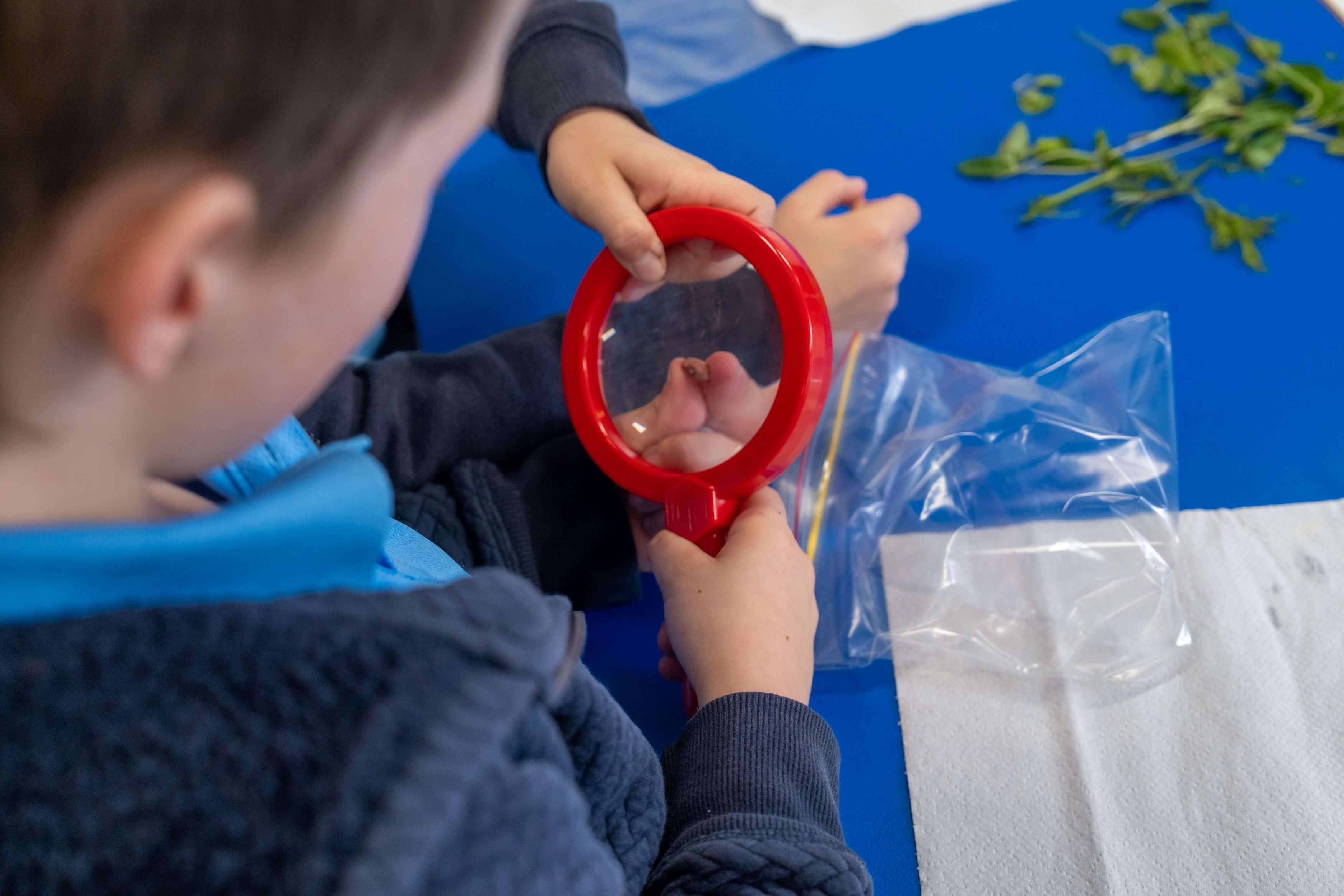 student using magnifying glass