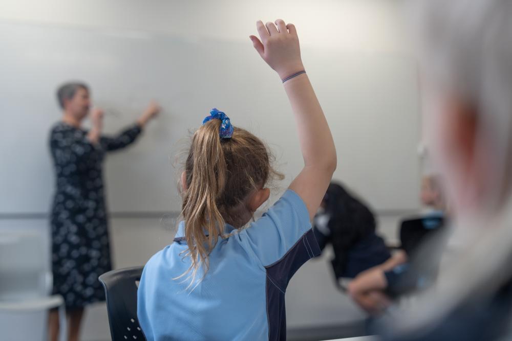 Student with raised hand