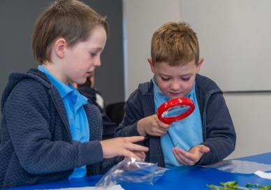 Boys using magnifying glass