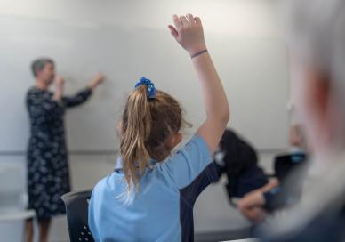 Student with hand up