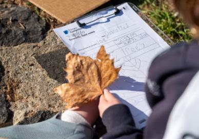 Student drawing a leaf
