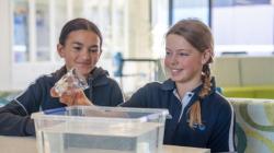 Students working with water