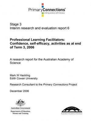 Professional Learning Facilitators: Confidence, self-efficacy, activities as at end of T3, 2006